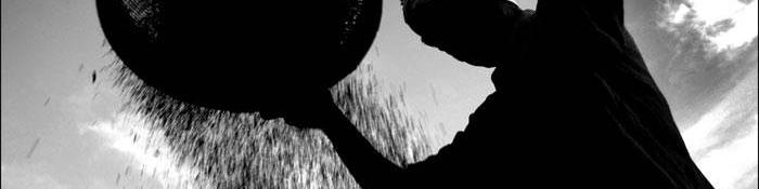 واردات پارچه مخصوص الک از آلمان و فرانسه