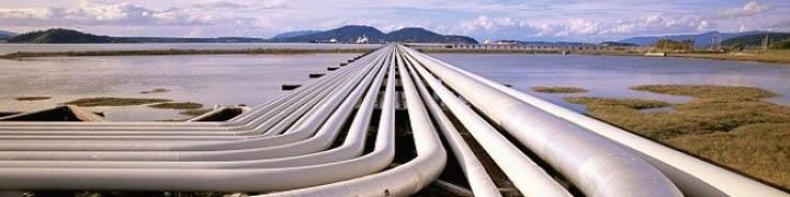 جزییات انحلال شرکت ملی صادرات گاز تشریح شد