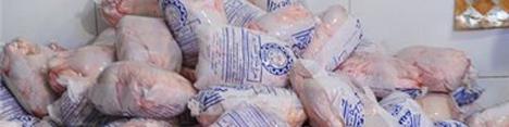 اقدامات برای عرضه گسترده مرغ در بورس کالا در حال انجام است