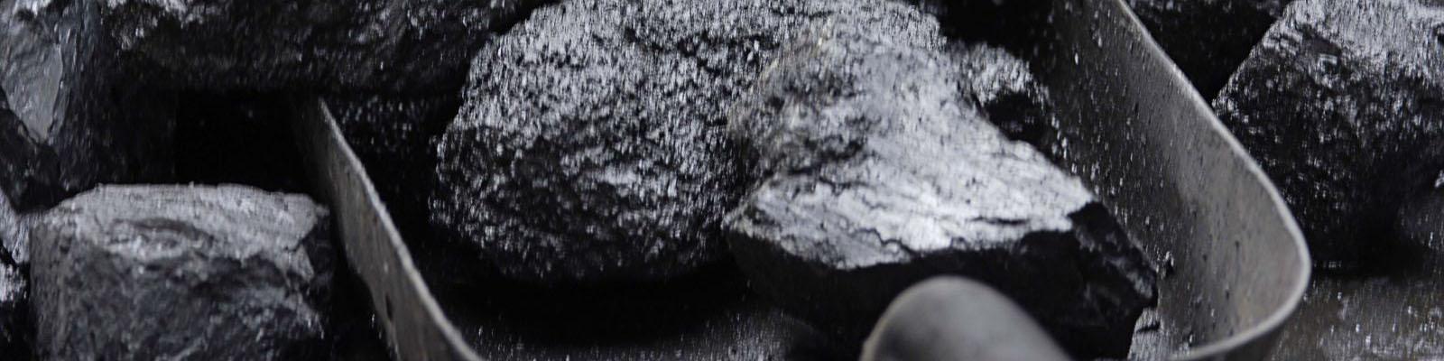 سرمایه گذاری یک میلیارد و 100 میلیون یورویی در حوزه زغال سنگ طبس