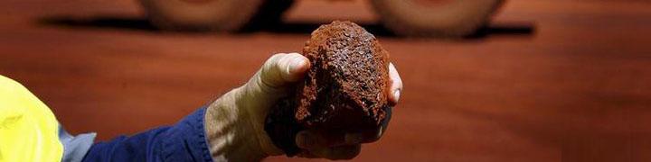 دورنمای ۲۰۱۷ برای بازار سنگ آهن