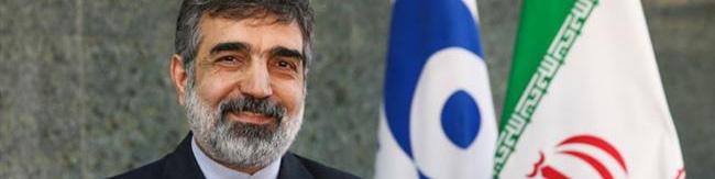 به زودی 130 تن اورانیوم خریداری شده وارد ایران می‌شود