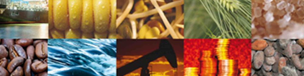 جزئیات عرضه در بورس کالا در تاریخ 95/12/1