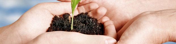 ابراز علاقه اسکور فرانسه برای توسعه روابط بیمه‌ای با ایران