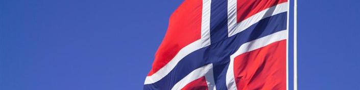 استفاده از ظرفیت ایرانیان در توسعه مناسبات تهران - اسلو