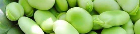 واردات باقالا در سال ۹۶