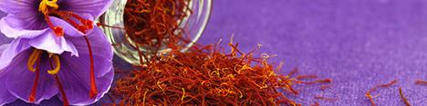 احتمال افزایش ۱۵ درصدی صادرات زعفران/ قیمت‌های جدید اعلام شد