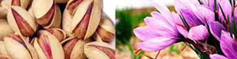 افزایش صادرات پسته و زعفران خراسان رضوی