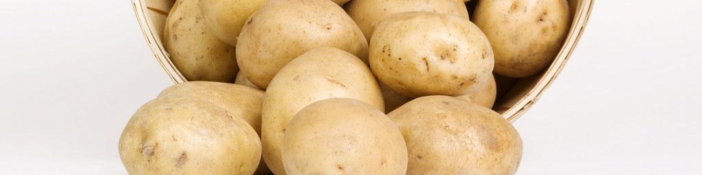 نزدیک شدن قیمت سیب زمینی به ارزش واقعی