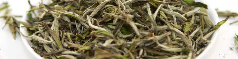 نرخ هر کیلو چای سفید چند؟