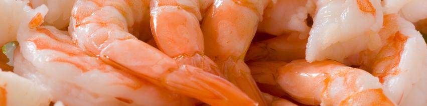 میگوی ایران در اروپا و آسیای جنوب شرقی