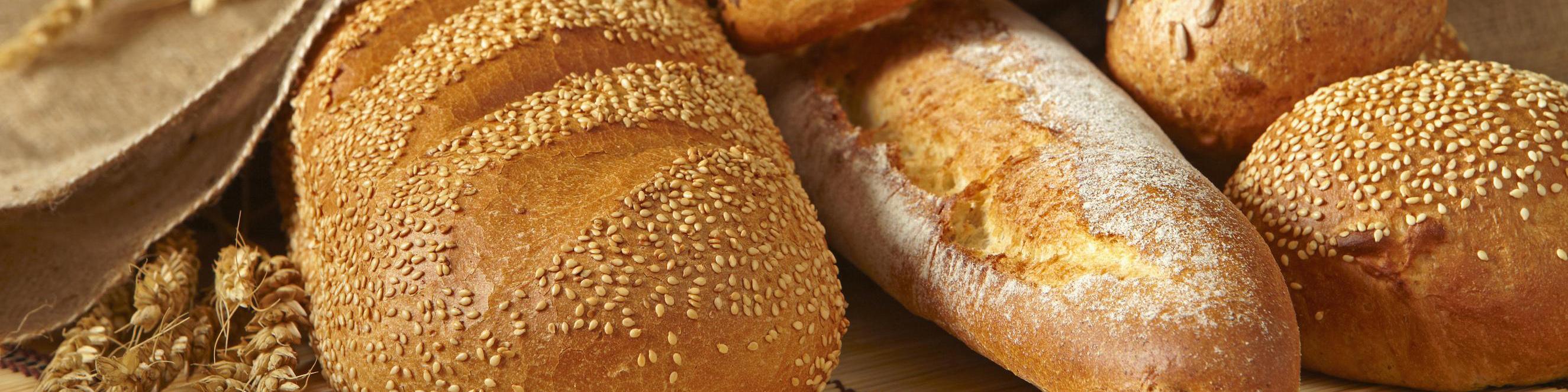 افزایش قیمت نان نداریم