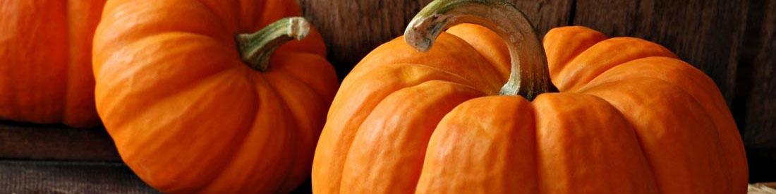 کدو حلوایی ایران در راه امارات و روسیه