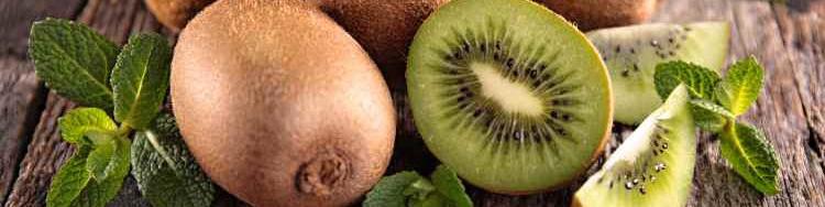 برداشت 41 هزار تن میوه از باغات چهارمحال و بختیاری