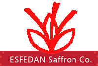 توسعه اسفدان شرق