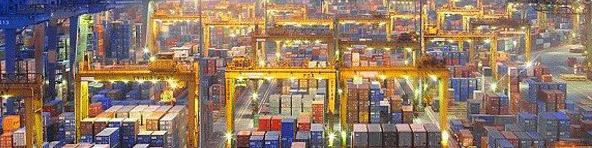 شرکت‌های تخصصی صادراتی باید خصوصی شوند