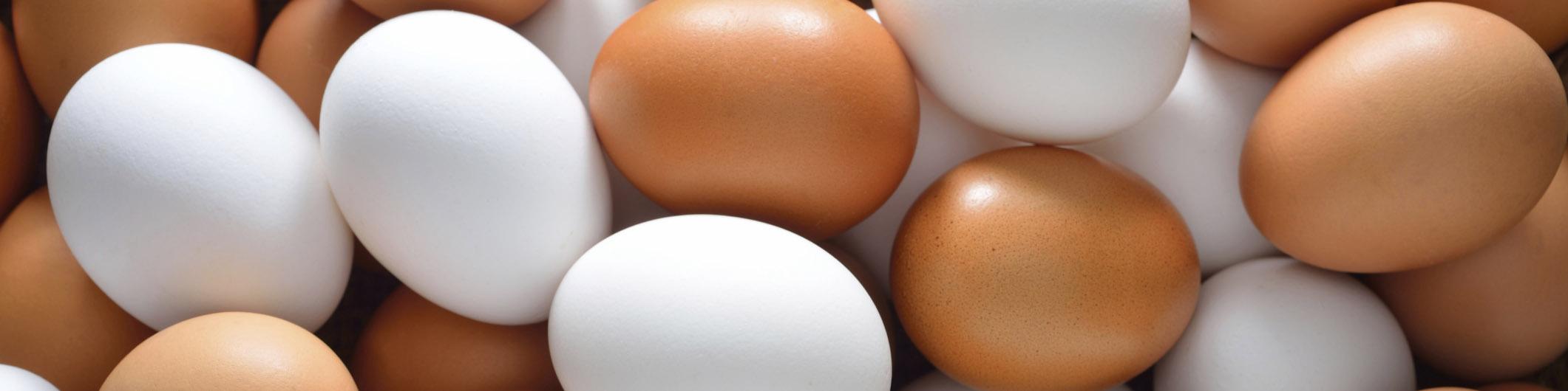 تخم مرغ شانه ای ۱۵۰۰ تومان گران شد