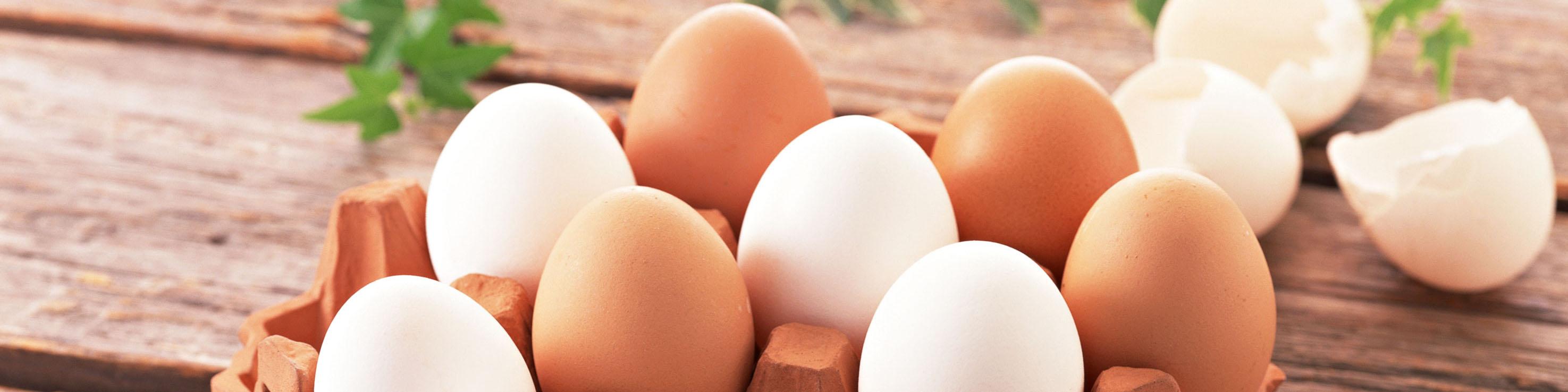 صادرات مرغ و تخم مرغ همچنان بی رمق است