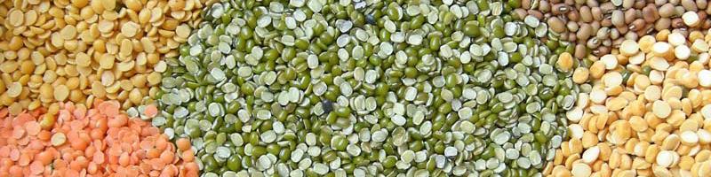 صادرات خوراک دام ۳۳ درصد رشد یافت