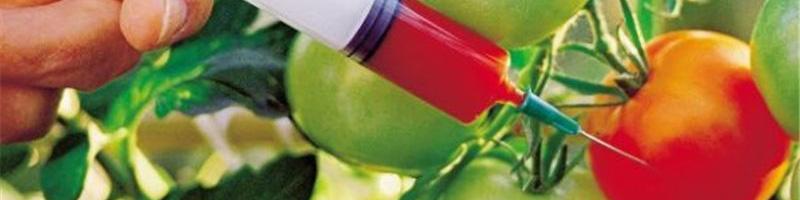 واردات محصولات تراریخته از فرانسه شایعه‌ای بیش نیست