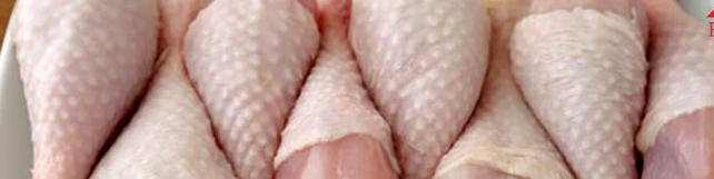 قیمت مرغ افزایش نیافته است