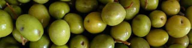 افزایش واردات روغن زیتون به کشور