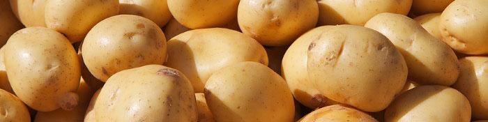 هر کیلو سیب زمینی صادراتی ۸۹۰ تومان!