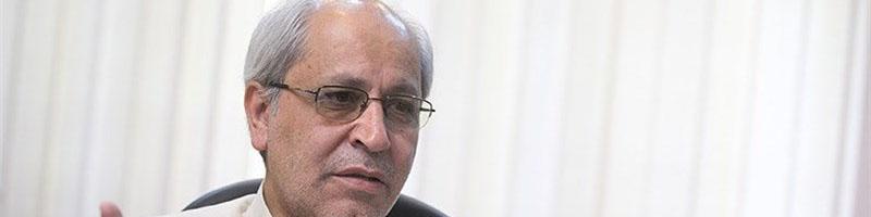 نیلی: یارانه باید ۱۸ هزار تومان می‌بود نه ۴۵ هزار