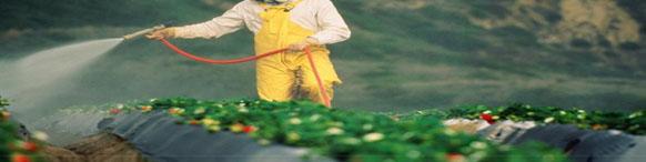 نگاهی به بازار جهانی محصولات شیمیایی کشاورزی برای دوره ۲۰۲۱-۲۰۱۷