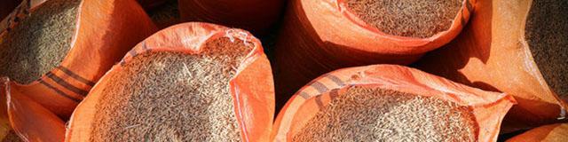 گرانی مجدد برنج خارجی