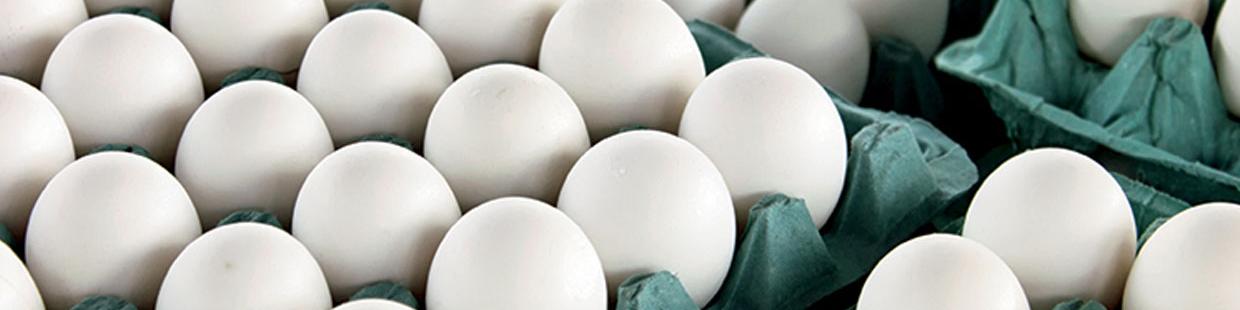 دست مرئی گران شدن تخم‌مرغ