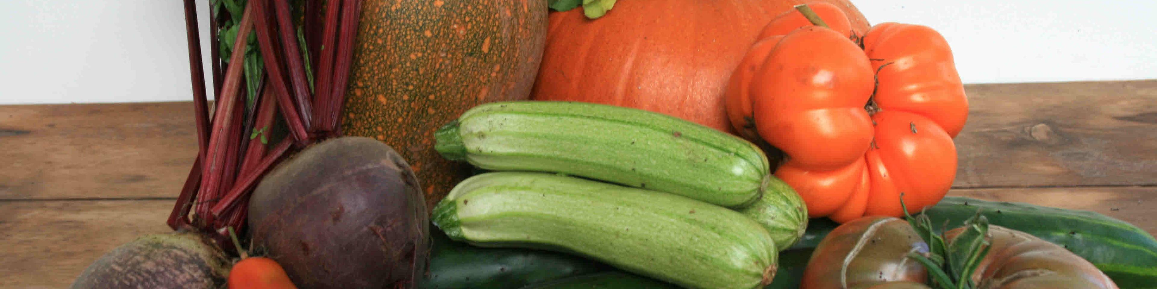 ممنوعیت واردات برخی محصولات کشاورزی به عراق