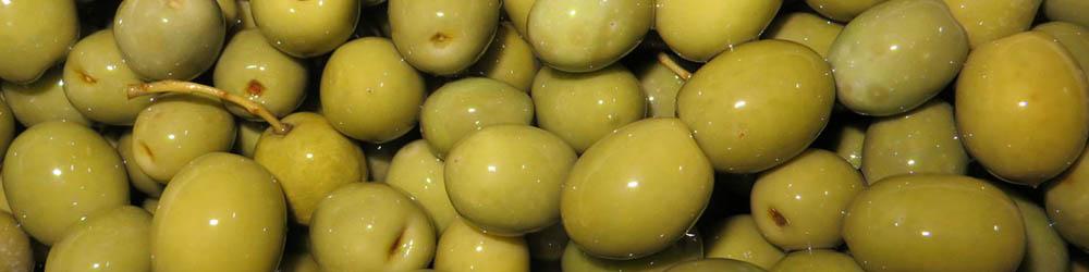 کاهش تولید زیتون با توجه به سرمازدگی سال گذشته