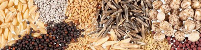 تک نرخی شدن ارز تاثیری بر بازار نهاده‌های دامی ندارد