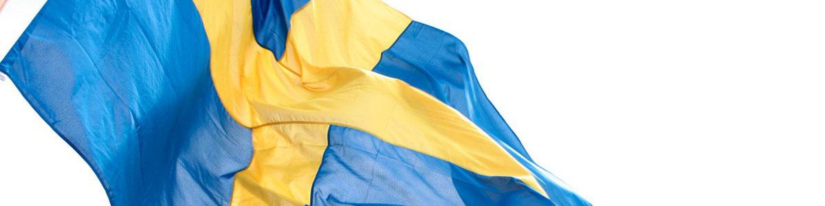 مشکلات بانکی مهمترین مانع سرمایه گذاری شرکت های سوئدی در ایران