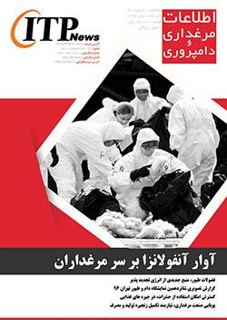 ماهنامه اطلاعات مرغداری و دامپروری (شماره 62)