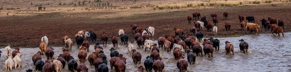 نقش سرمایه اجتماعی در مدیریت منابع آب