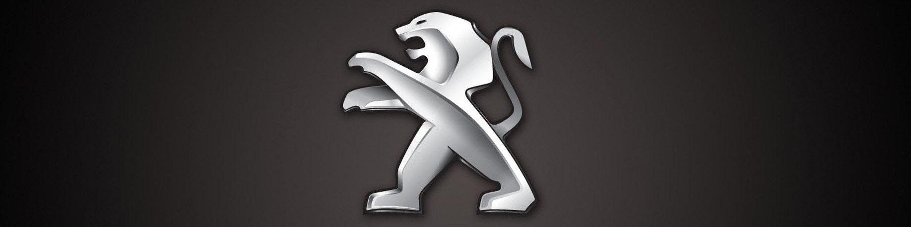 قیمت محصولات پژو در نمایندگی و بازار