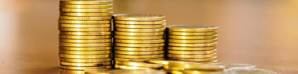 دلایل گرانی سکه