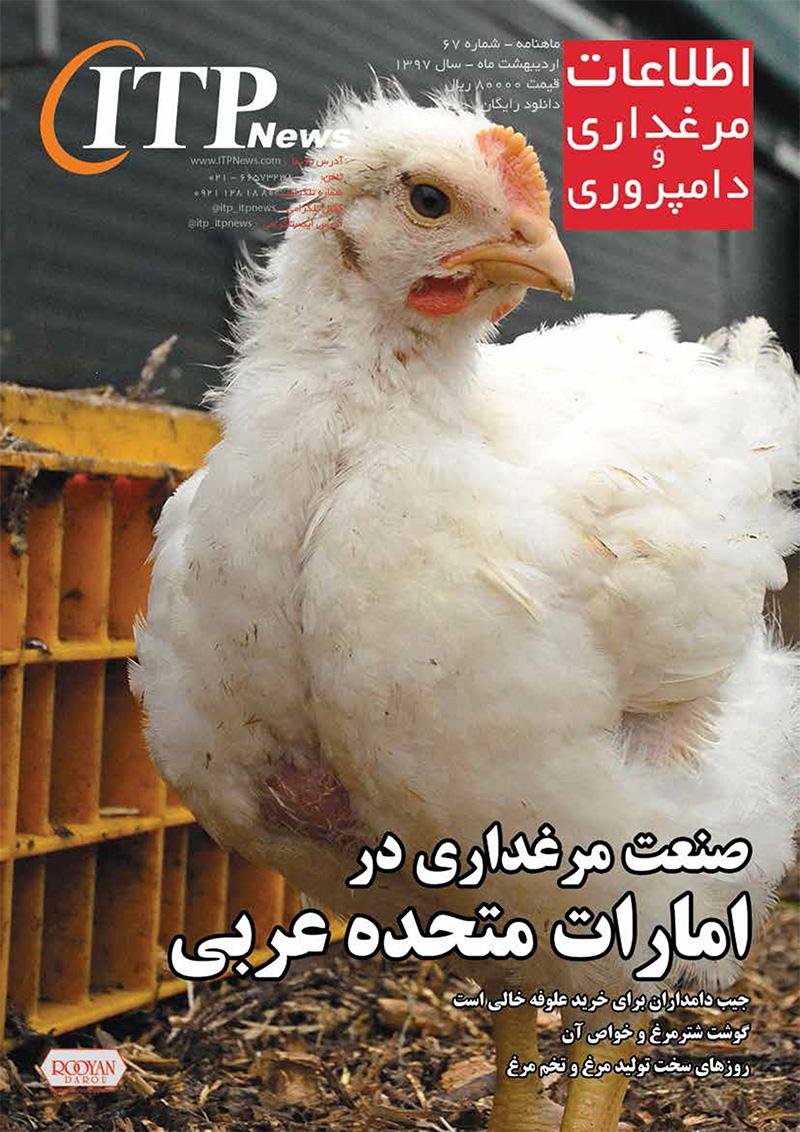 ماهنامه اطلاعات مرغداری و دامپروری (شماره 67)