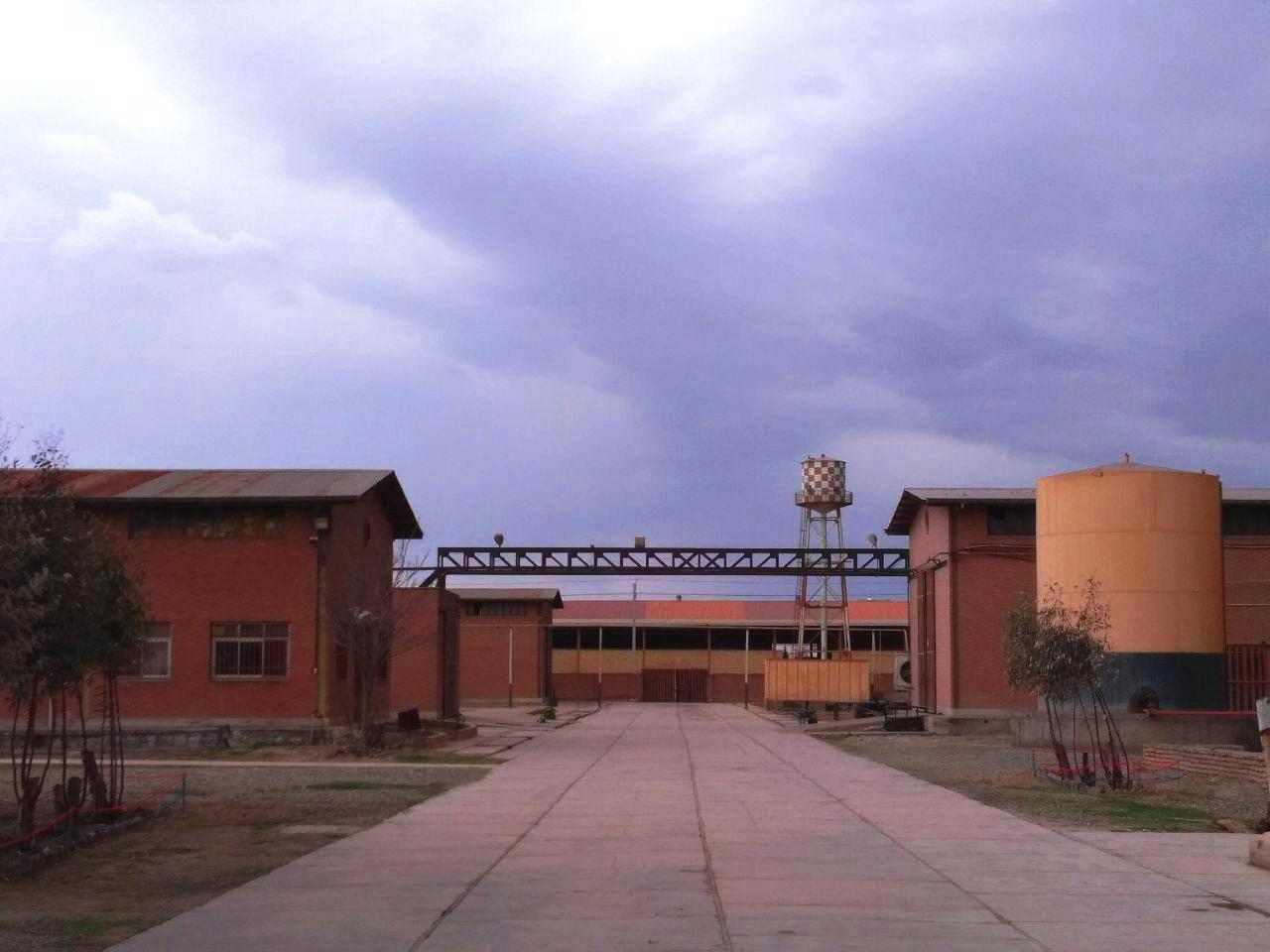 تولیدی بیتا شیمی