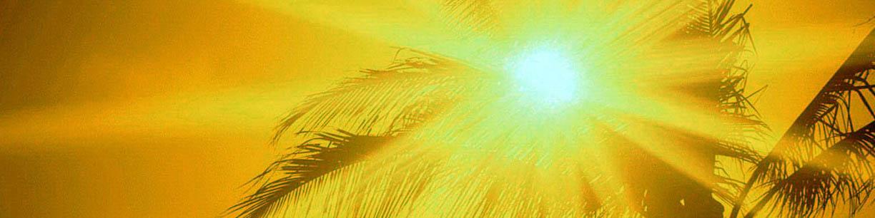 موج‌های مرگبار گرما در آینده بیشتر می‌شوند