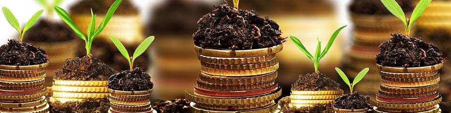 جزییات افزایش وجه تضمین قراردادهای آتی سکه