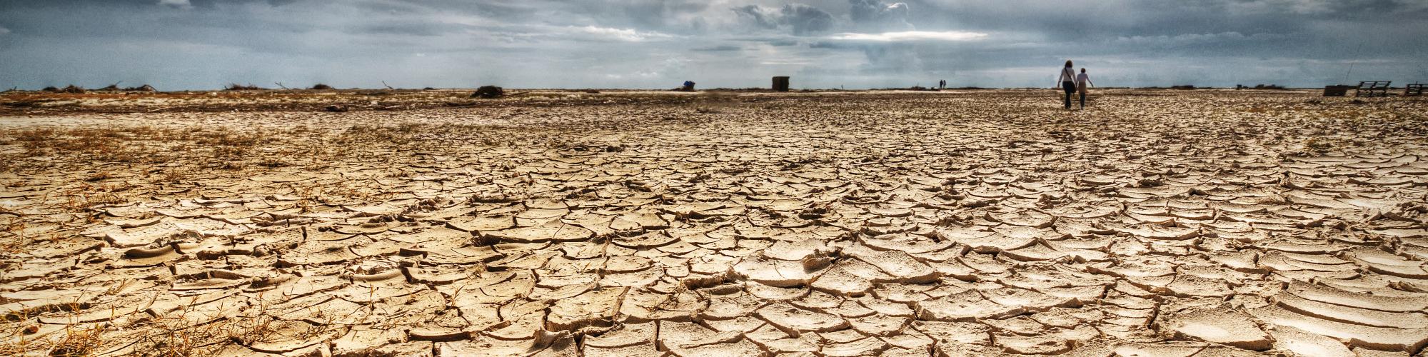 تدوین سند بیابان‌زدایی با همکاری فائو