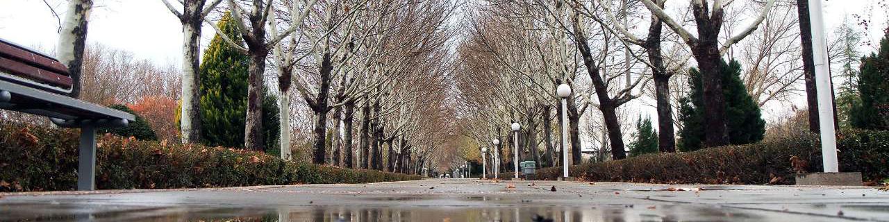 تداوم بارش‌ها و کاهش 10 درجه‌ای دما