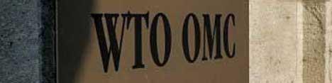 چشم‌انداز جدید WTO
