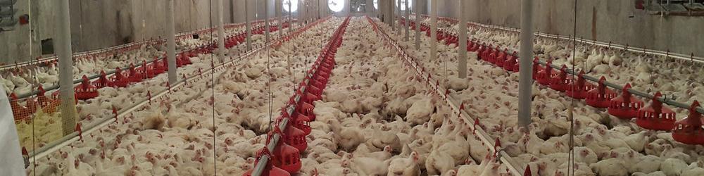 به خاطر خوش‌آمد دل مسئولان از جیب هزینه نمی‌کنیم