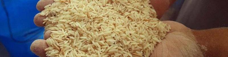 توزیع 147هزارتن برنج، روغن و شکر در سه ماه پایانی سال