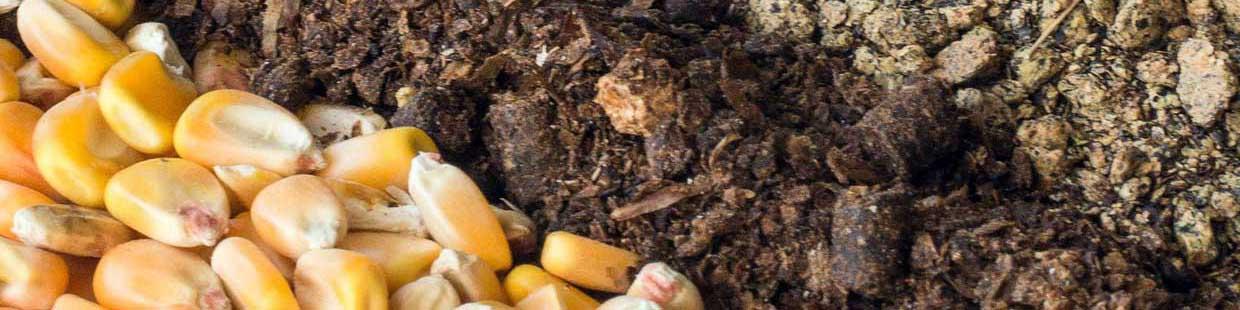 کمبودی در تامین نهاده های کشاورزی نداریم