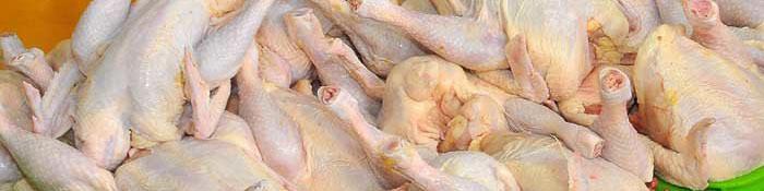 قیمت مرغ در بازار کاهش می‌یابد
